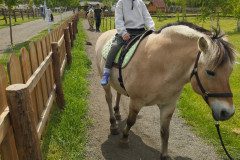 IMG_20250506_132826