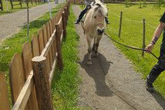 IMG_20250506_132841