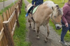 IMG_20250506_132948