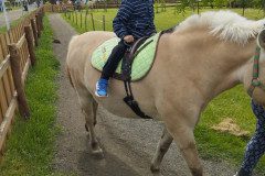 IMG_20250506_132949