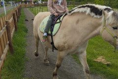 IMG_20250506_133056