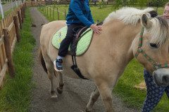 IMG_20250506_133147