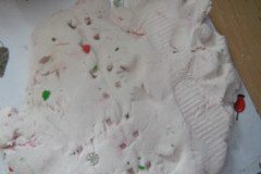DSCN0420