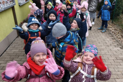 IMG_20251120_083116