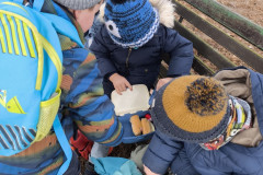 IMG_20251120_104841