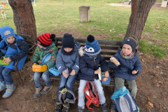 IMG_20251120_104857