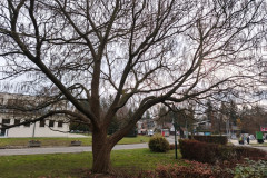 IMG_20251120_110822
