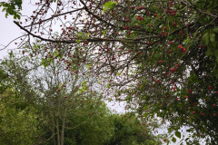 IMG_20250924_084608