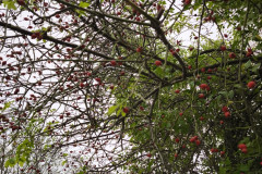 IMG_20250924_084609