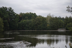 IMG_20250924_095914