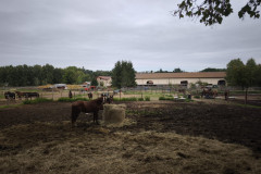 IMG_20250924_101026