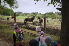 IMG_20250924_101146