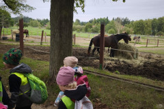 IMG_20250924_101156