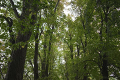 IMG_20250924_101435