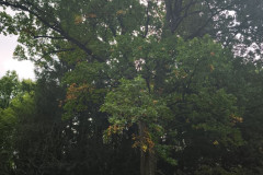 IMG_20250924_102952