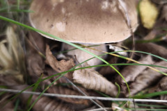 IMG_20250924_105944