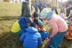 DSCN2716