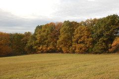 DSCN2733