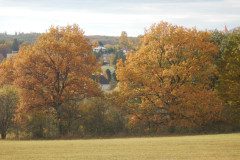 DSCN2734