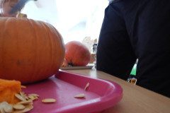 DSCN2792