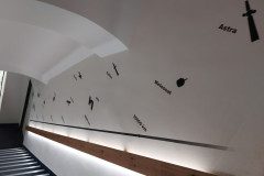 20250318_091455