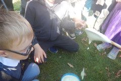 DSCN0027