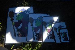 DSCN0043