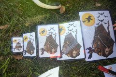 DSCN0044