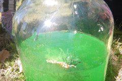 DSCN0051