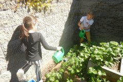 DSCN0073