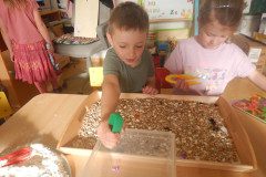 DSCN0087