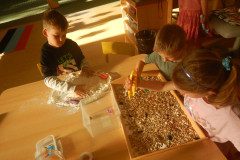 DSCN0088