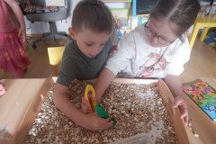 DSCN0095