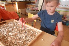 DSCN0119