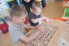 DSCN0133