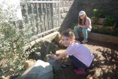 DSCN0241