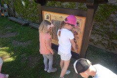 DSCN0243