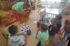 DSCN0818