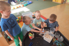 DSCN0876