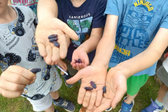 IMG_20250604_144846_471