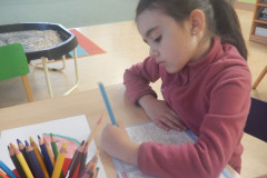 DSCN0801