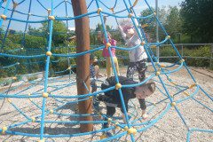 DSCN0692