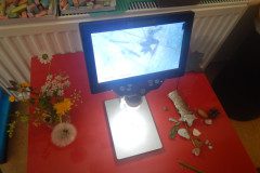 DSCN0706