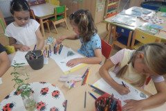 DSCN1301
