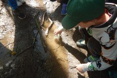 DSCN9929