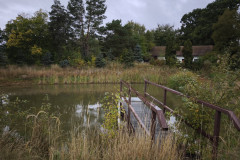 IMG_20251006_102300