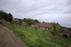 IMG_20251006_102326