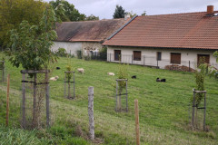 IMG_20251006_111634