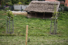 IMG_20251006_111640