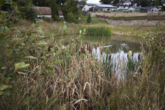 IMG_20251006_111905